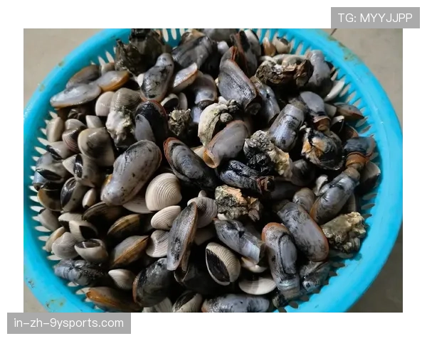 凌晨赶海惠州市民收获满满海鲜桶，惠州赶海几点去比较好